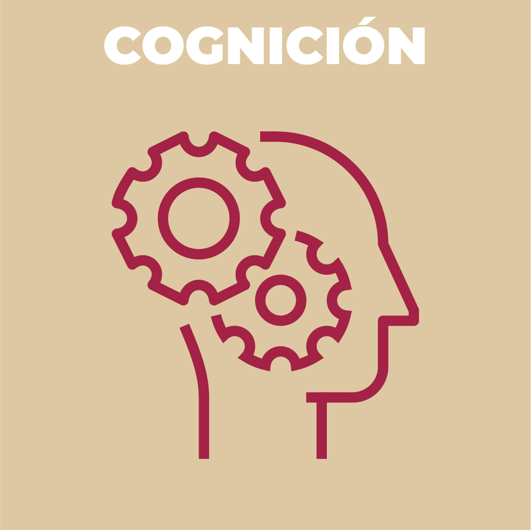 Cognición